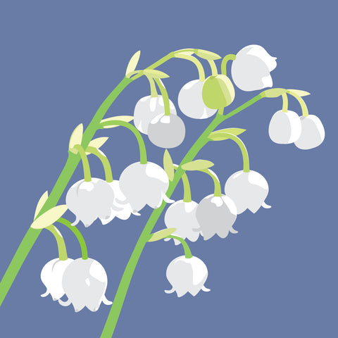 BL03 Lily of the Valley (pack of 6)