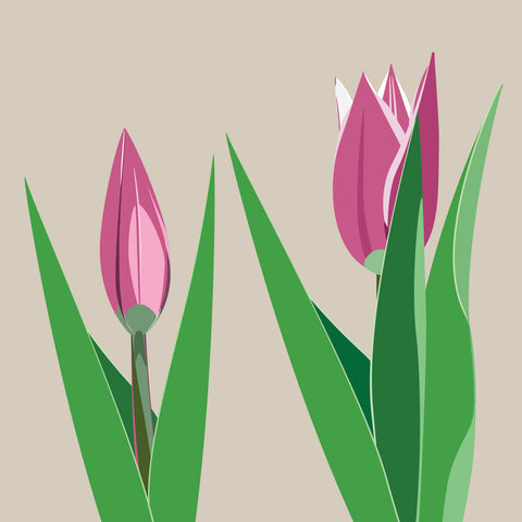 BL08 Pink Tulips (pack of 6)