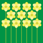 PE34 Daffodil array