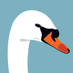 UP18 Swan