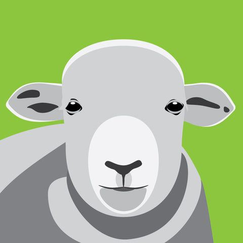 UP02 Herdwick sheep (pack of 6)