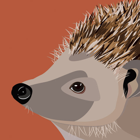 UP31 Hedgehog