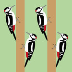 OW03 Woodpeckers (pack of 6)